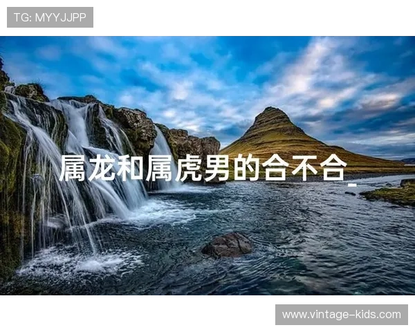 属龙属虎的配对指南：了解两者性格特点与相处之道，打造和谐关系的最佳建议